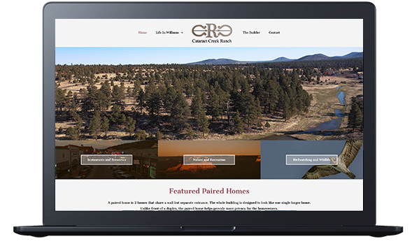 Example of a distinctive, on-brand website design